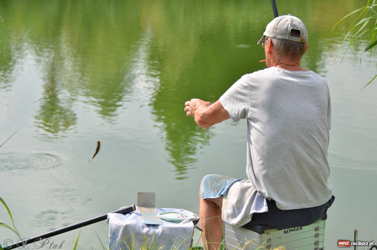 Zdjęcie w galerii na portalu naszraciborz.pl: Wędkarstwo. Eugeniusz Kajstura z trofeum Starosty [FOTO] wiadomości z regionu