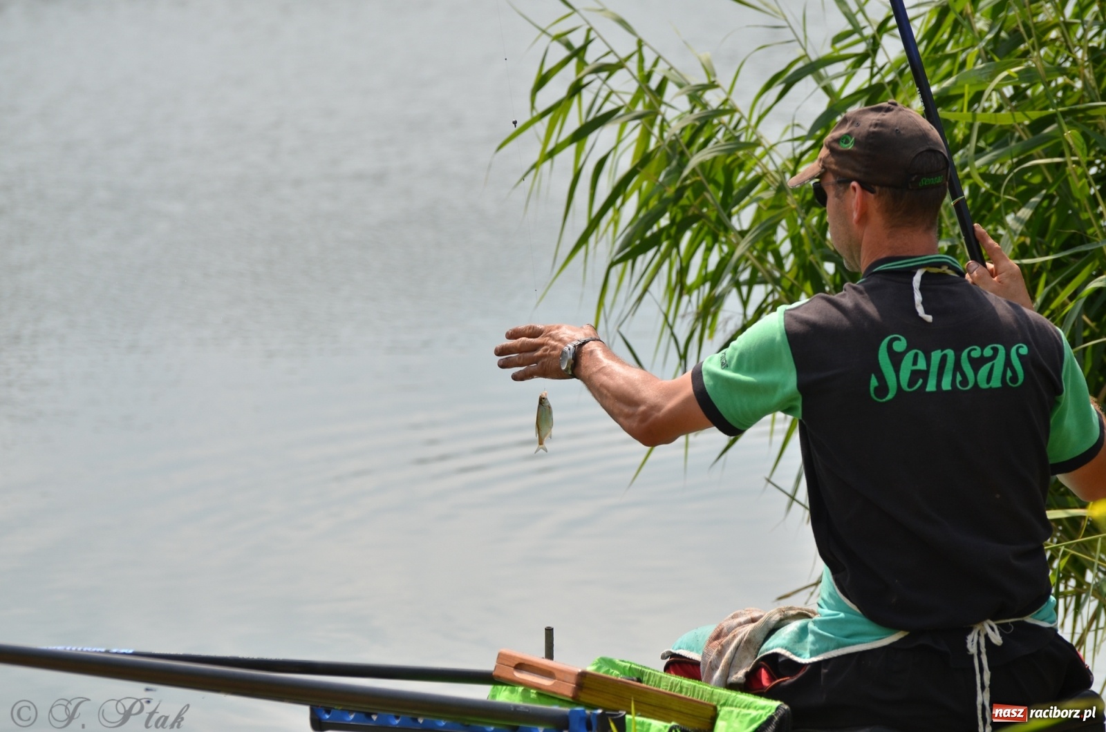 Zdjęcie w galerii na portalu naszraciborz.pl: Wędkarstwo. Eugeniusz Kajstura z trofeum Starosty [FOTO] wiadomości z regionu