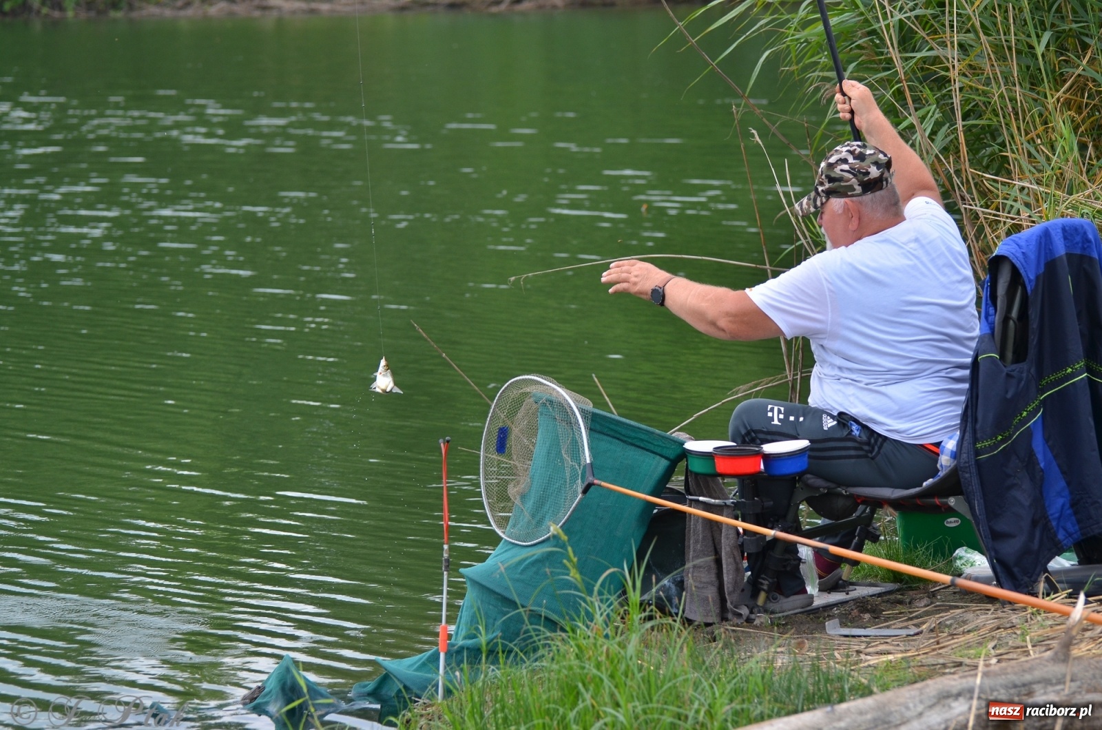 Zdjęcie w galerii na portalu naszraciborz.pl: Wędkarstwo. Eugeniusz Kajstura z trofeum Starosty [FOTO] wiadomości z regionu