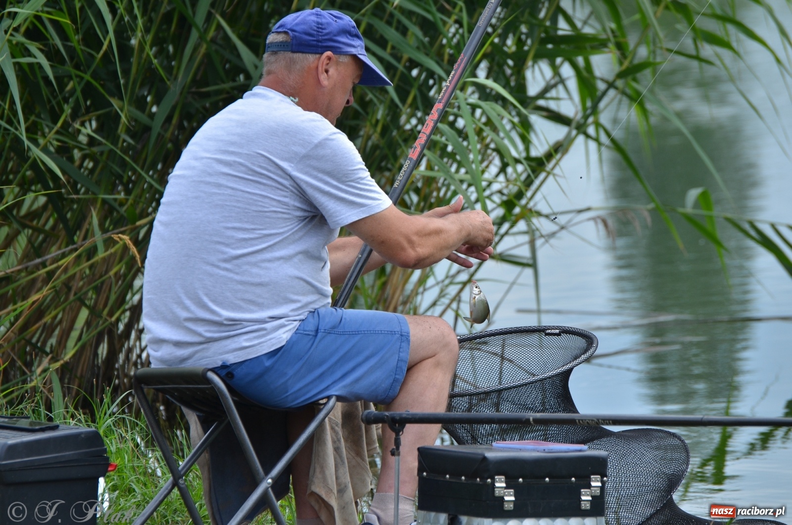 Zdjęcie w galerii na portalu naszraciborz.pl: Wędkarstwo. Eugeniusz Kajstura z trofeum Starosty [FOTO] wiadomości z regionu