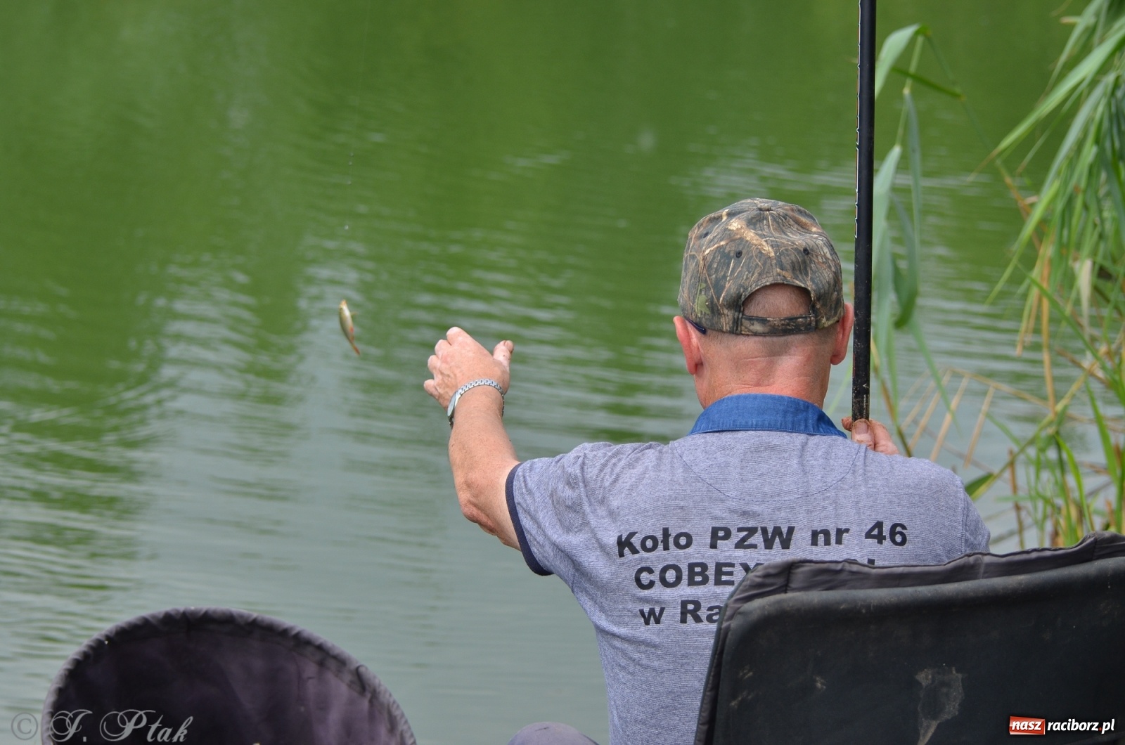 Zdjęcie w galerii na portalu naszraciborz.pl: Wędkarstwo. Eugeniusz Kajstura z trofeum Starosty [FOTO] wiadomości z regionu