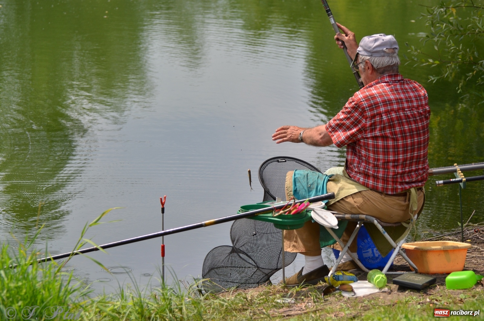 Zdjęcie w galerii na portalu naszraciborz.pl: Wędkarstwo. Eugeniusz Kajstura z trofeum Starosty [FOTO] wiadomości z regionu