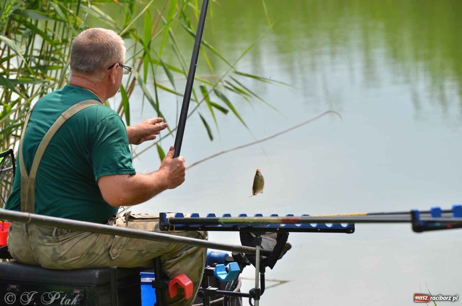 Zdjęcie w galerii na portalu naszraciborz.pl: Wędkarstwo. Eugeniusz Kajstura z trofeum Starosty [FOTO] wiadomości z regionu