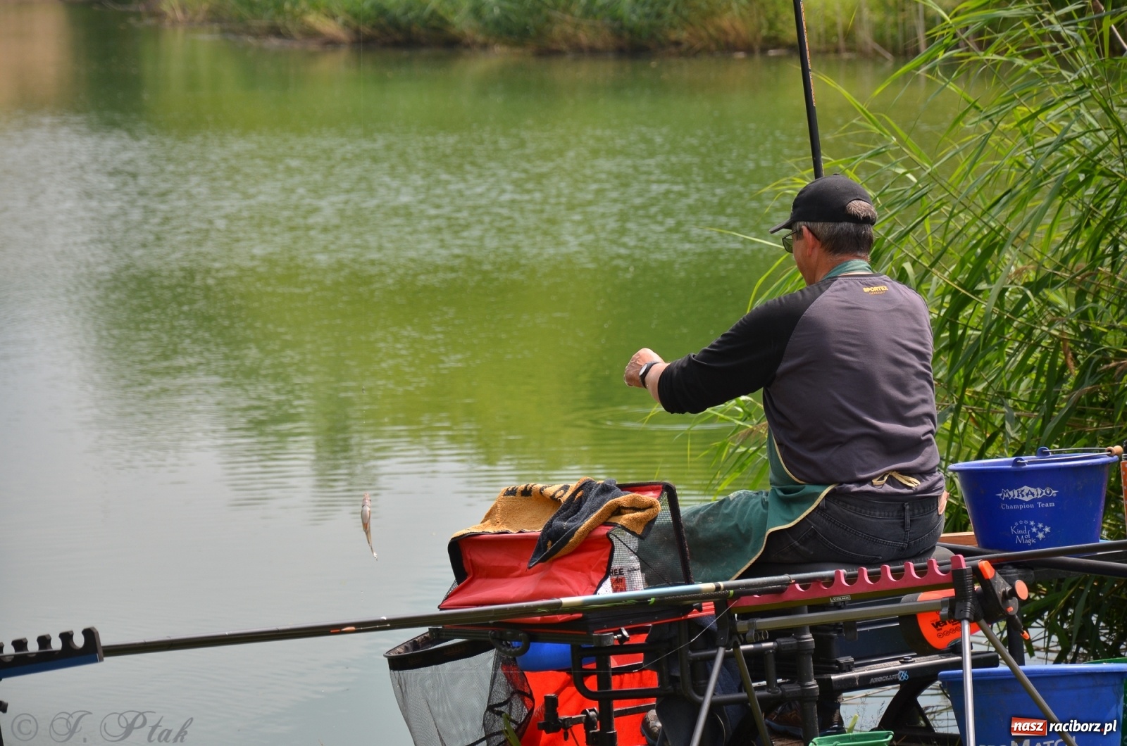 Zdjęcie w galerii na portalu naszraciborz.pl: Wędkarstwo. Eugeniusz Kajstura z trofeum Starosty [FOTO] wiadomości z regionu