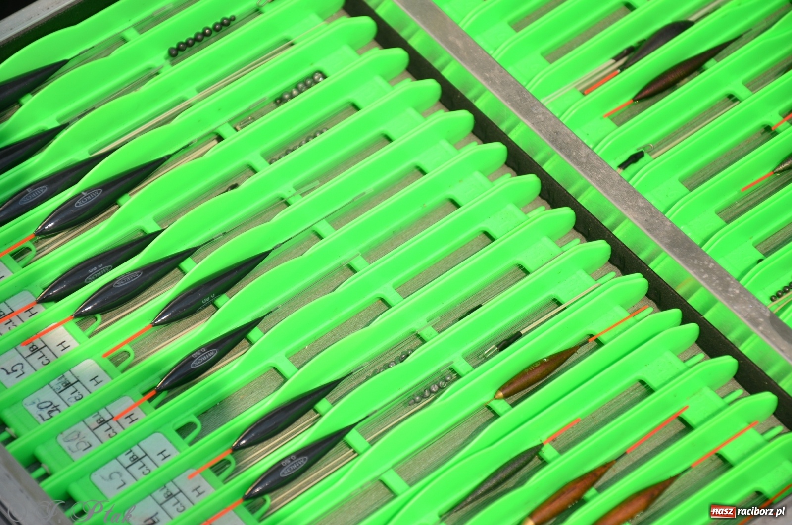 Zdjęcie w galerii na portalu naszraciborz.pl: Wędkarstwo. Eugeniusz Kajstura z trofeum Starosty [FOTO] wiadomości z regionu