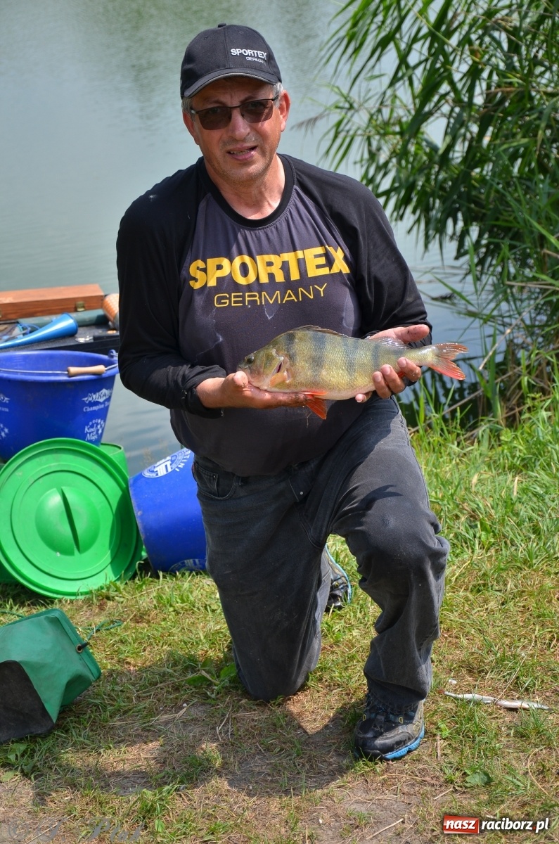 Zdjęcie w galerii na portalu naszraciborz.pl: Wędkarstwo. Eugeniusz Kajstura z trofeum Starosty [FOTO] wiadomości z regionu