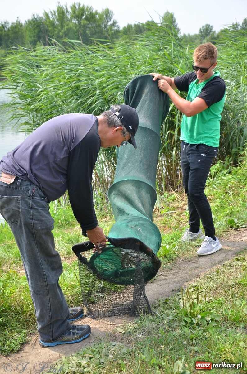 Zdjęcie w galerii na portalu naszraciborz.pl: Wędkarstwo. Eugeniusz Kajstura z trofeum Starosty [FOTO] wiadomości z regionu