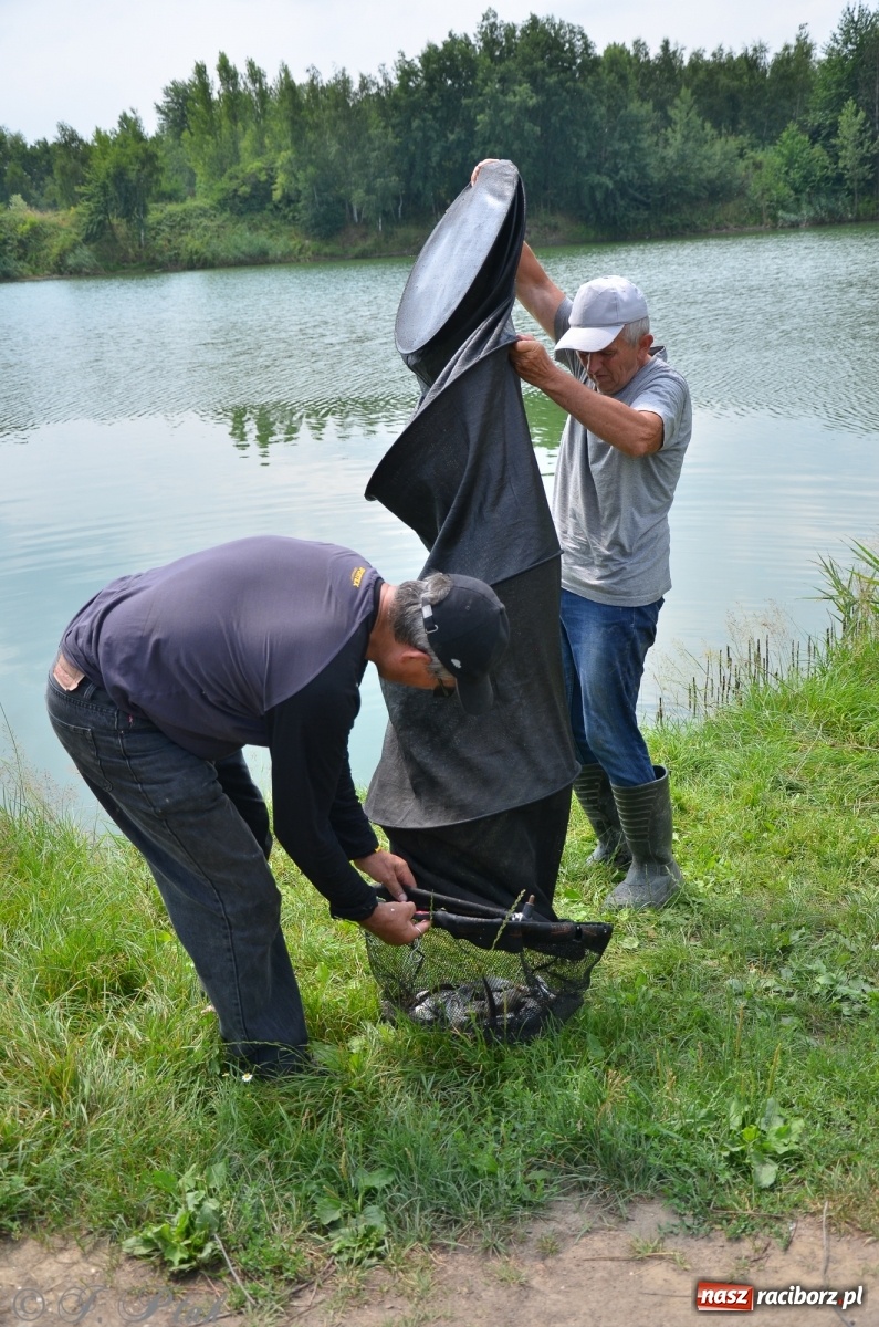 Zdjęcie w galerii na portalu naszraciborz.pl: Wędkarstwo. Eugeniusz Kajstura z trofeum Starosty [FOTO] wiadomości z regionu