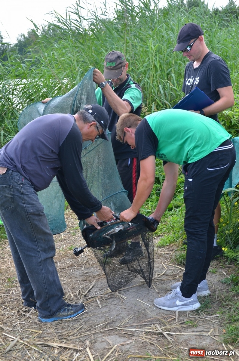 Zdjęcie w galerii na portalu naszraciborz.pl: Wędkarstwo. Eugeniusz Kajstura z trofeum Starosty [FOTO] wiadomości z regionu