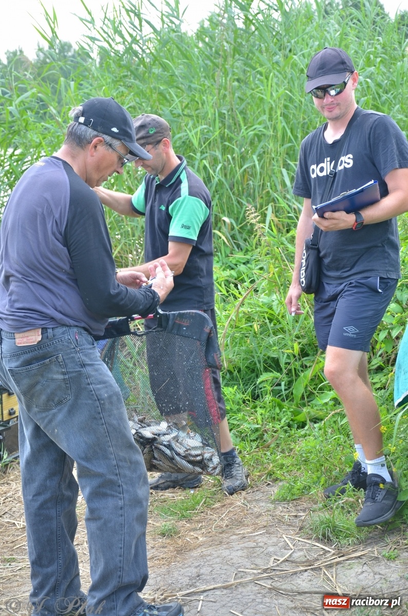 Zdjęcie w galerii na portalu naszraciborz.pl: Wędkarstwo. Eugeniusz Kajstura z trofeum Starosty [FOTO] wiadomości z regionu