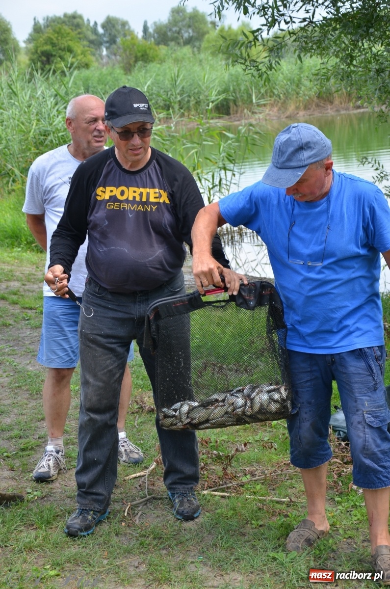 Zdjęcie w galerii na portalu naszraciborz.pl: Wędkarstwo. Eugeniusz Kajstura z trofeum Starosty [FOTO] wiadomości z regionu
