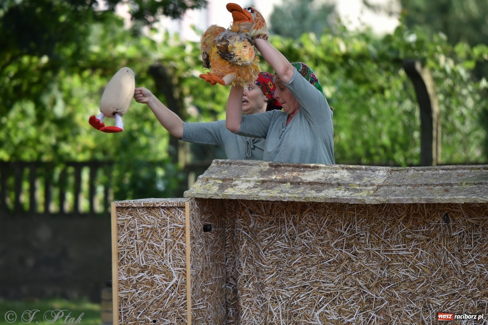 Zdjęcie w galerii na portalu naszraciborz.pl: Wakacyjna bajka w plenerze? Dlaczego nie! wiadomości z regionu