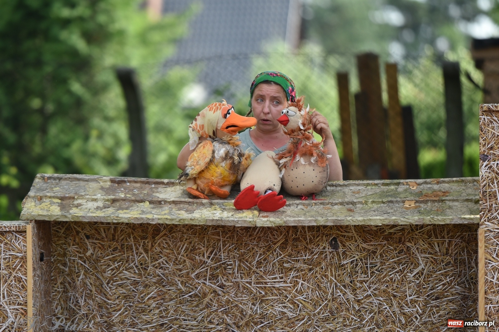 Zdjęcie w galerii na portalu naszraciborz.pl: Wakacyjna bajka w plenerze? Dlaczego nie! wiadomości z regionu