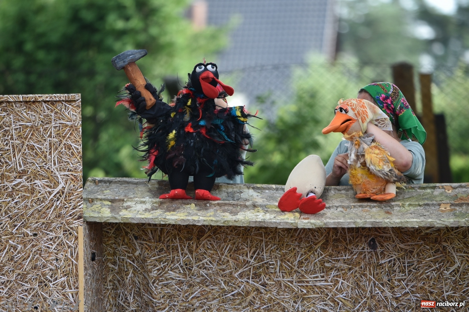 Zdjęcie w galerii na portalu naszraciborz.pl: Wakacyjna bajka w plenerze? Dlaczego nie! wiadomości z regionu
