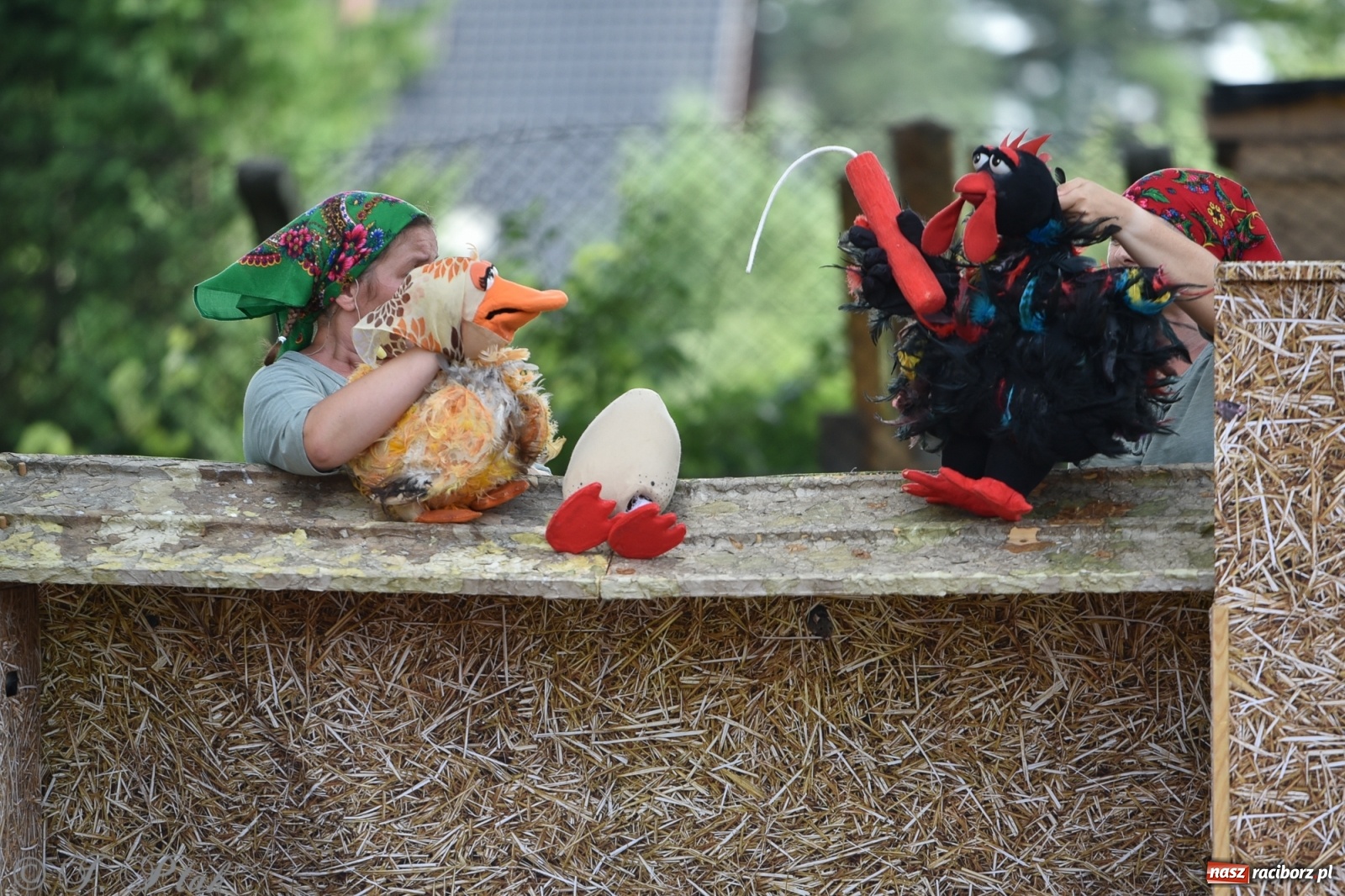 Zdjęcie w galerii na portalu naszraciborz.pl: Wakacyjna bajka w plenerze? Dlaczego nie! wiadomości z regionu
