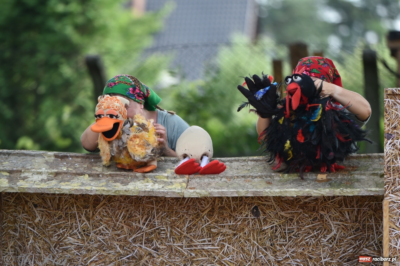 Zdjęcie w galerii na portalu naszraciborz.pl: Wakacyjna bajka w plenerze? Dlaczego nie! wiadomości z regionu