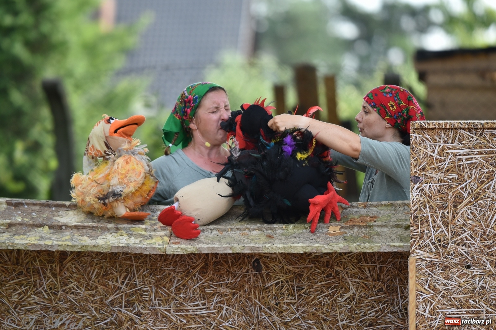 Zdjęcie w galerii na portalu naszraciborz.pl: Wakacyjna bajka w plenerze? Dlaczego nie! wiadomości z regionu