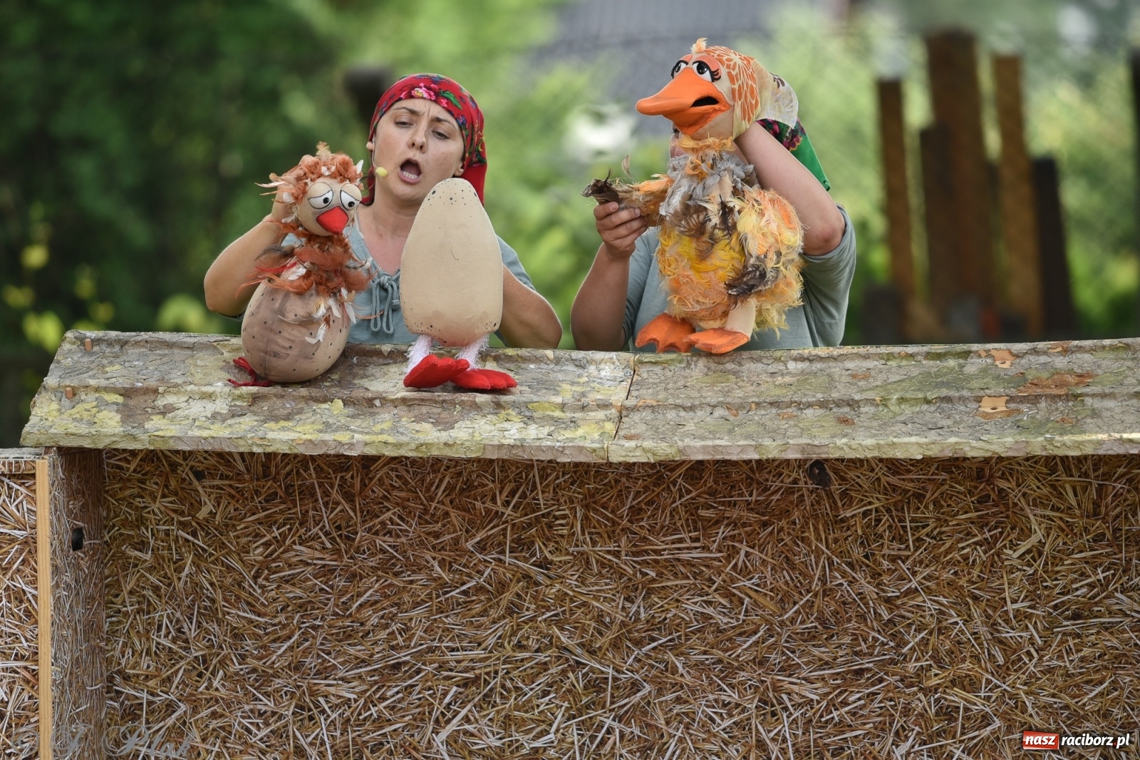 Zdjęcie w galerii na portalu naszraciborz.pl: Wakacyjna bajka w plenerze? Dlaczego nie! wiadomości z regionu