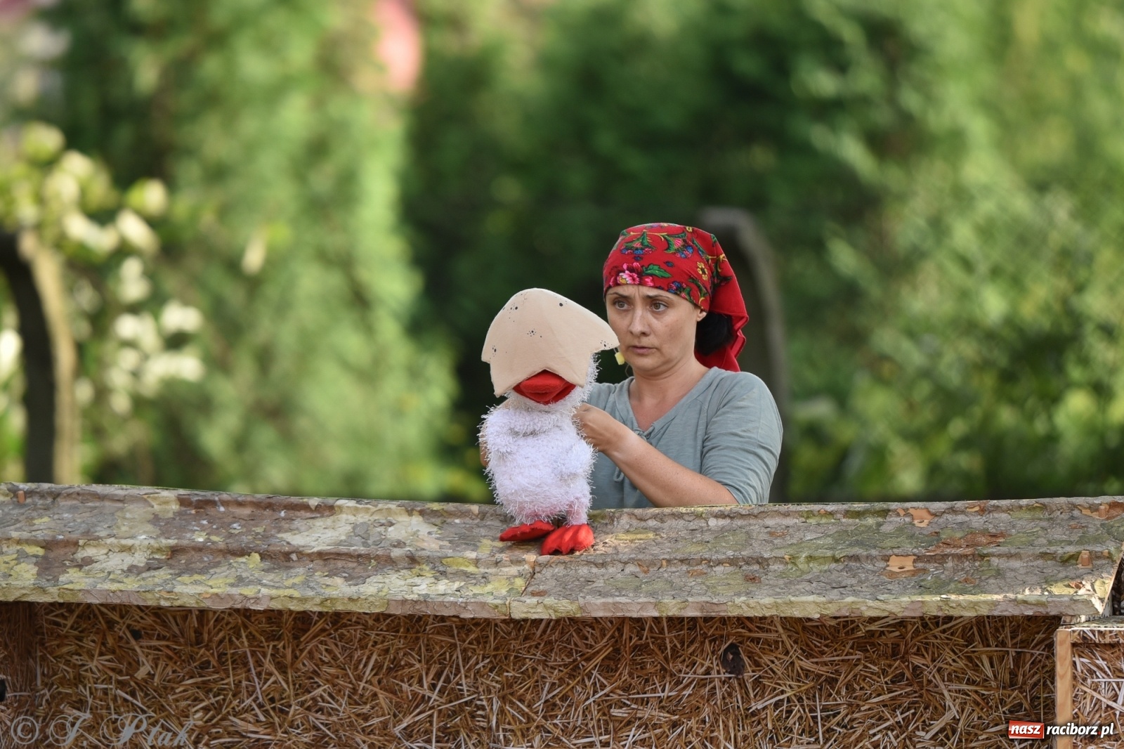 Zdjęcie w galerii na portalu naszraciborz.pl: Wakacyjna bajka w plenerze? Dlaczego nie! wiadomości z regionu
