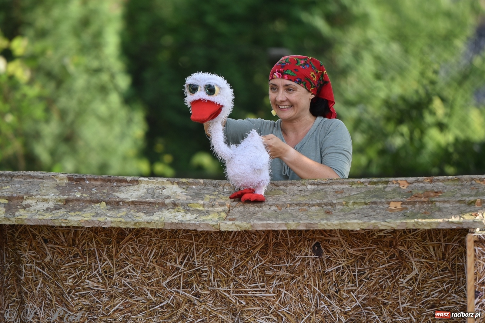 Zdjęcie w galerii na portalu naszraciborz.pl: Wakacyjna bajka w plenerze? Dlaczego nie! wiadomości z regionu