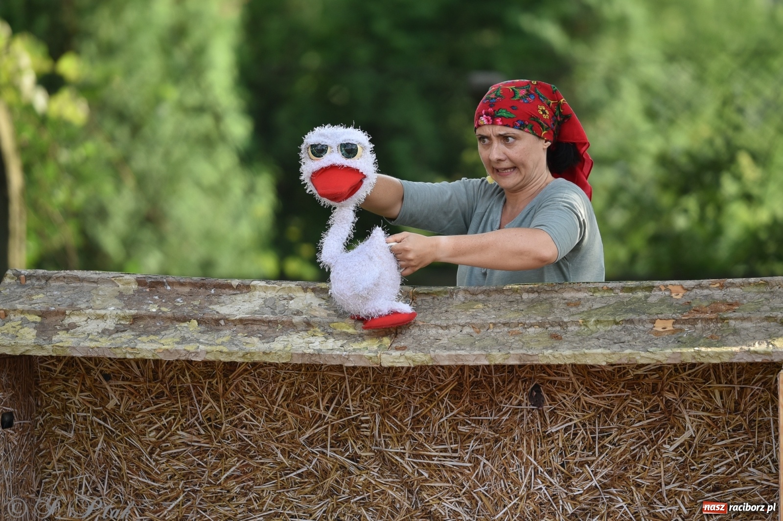 Zdjęcie w galerii na portalu naszraciborz.pl: Wakacyjna bajka w plenerze? Dlaczego nie! wiadomości z regionu