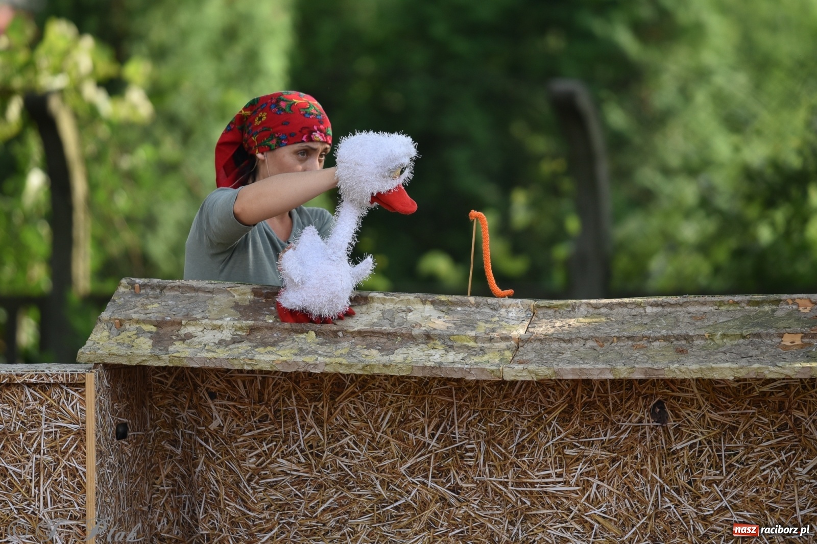Zdjęcie w galerii na portalu naszraciborz.pl: Wakacyjna bajka w plenerze? Dlaczego nie! wiadomości z regionu