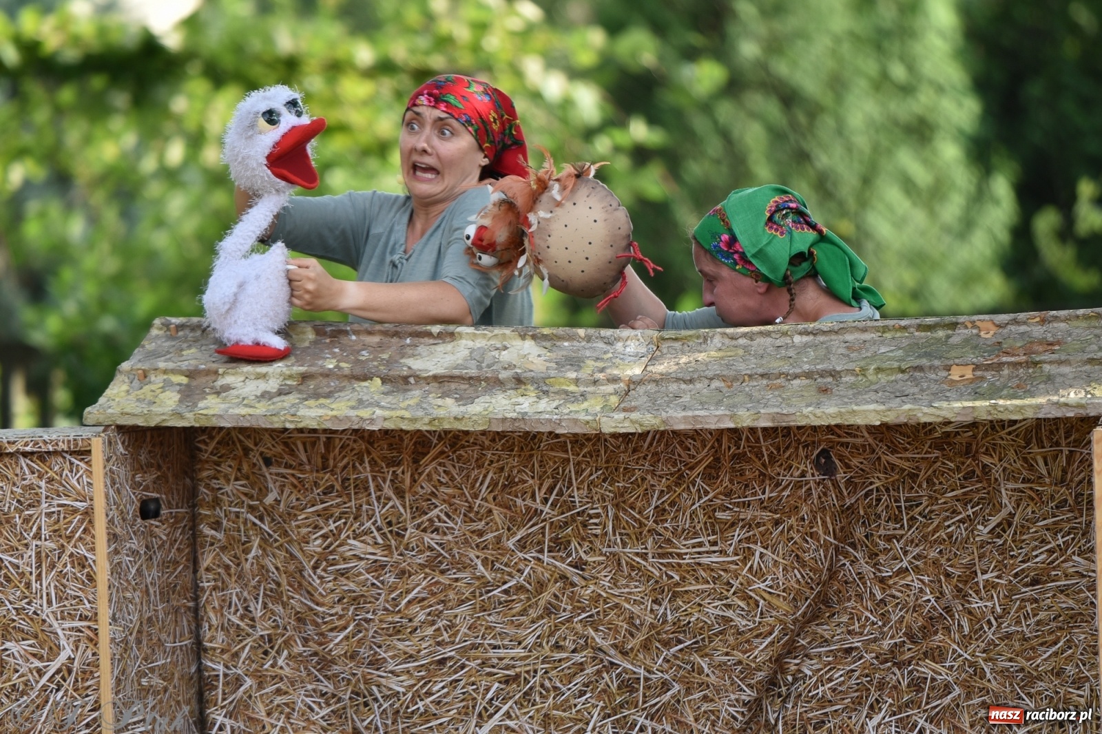 Zdjęcie w galerii na portalu naszraciborz.pl: Wakacyjna bajka w plenerze? Dlaczego nie! wiadomości z regionu