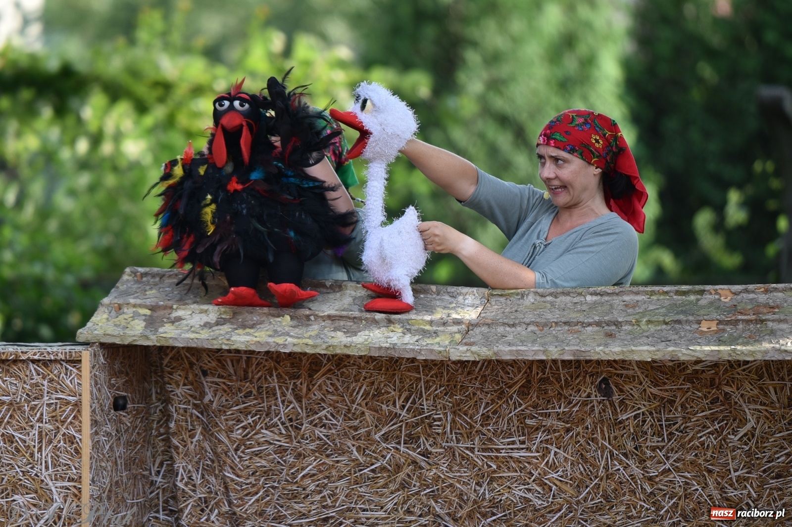 Zdjęcie w galerii na portalu naszraciborz.pl: Wakacyjna bajka w plenerze? Dlaczego nie! wiadomości z regionu