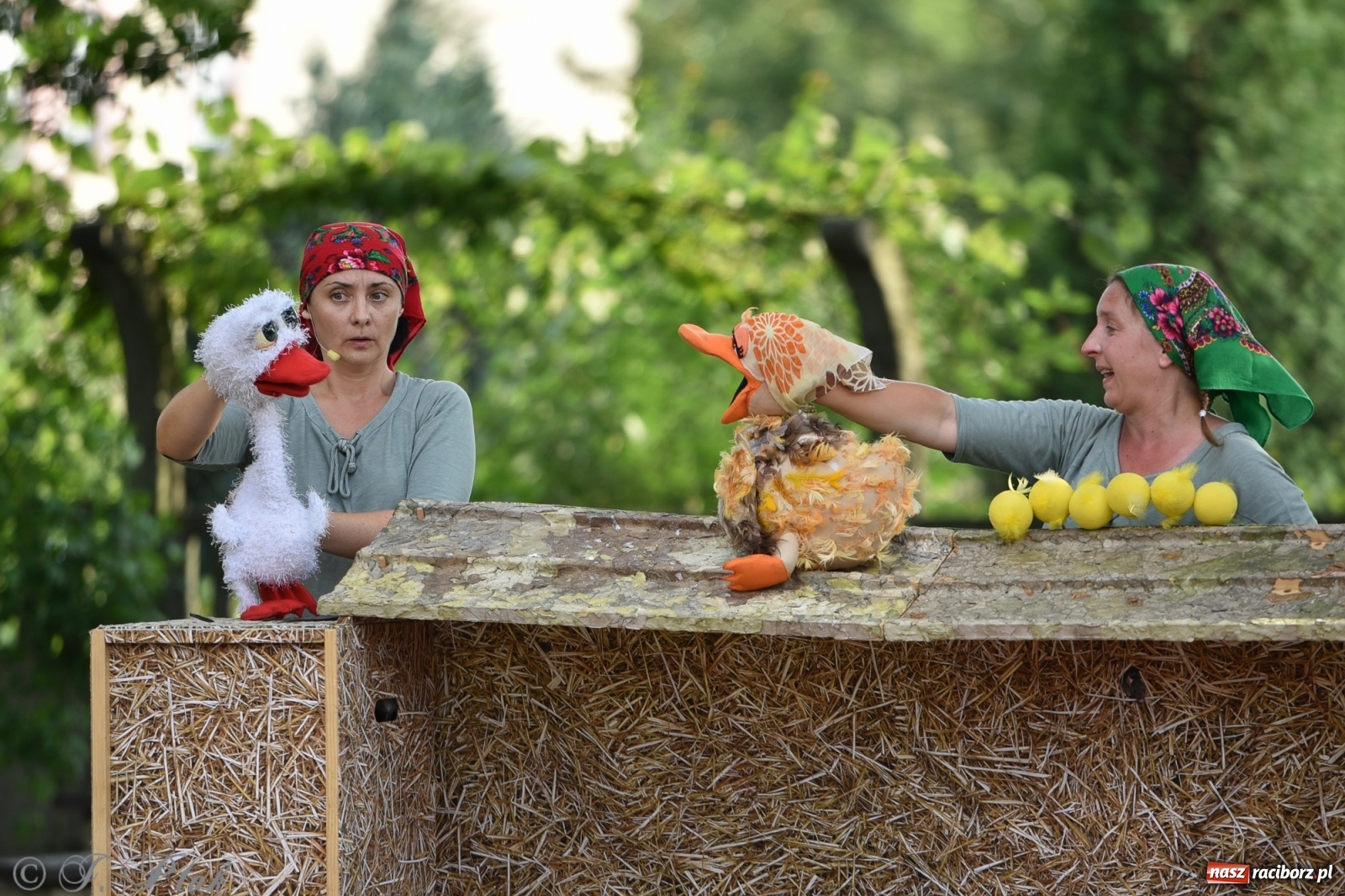 Zdjęcie w galerii na portalu naszraciborz.pl: Wakacyjna bajka w plenerze? Dlaczego nie! wiadomości z regionu