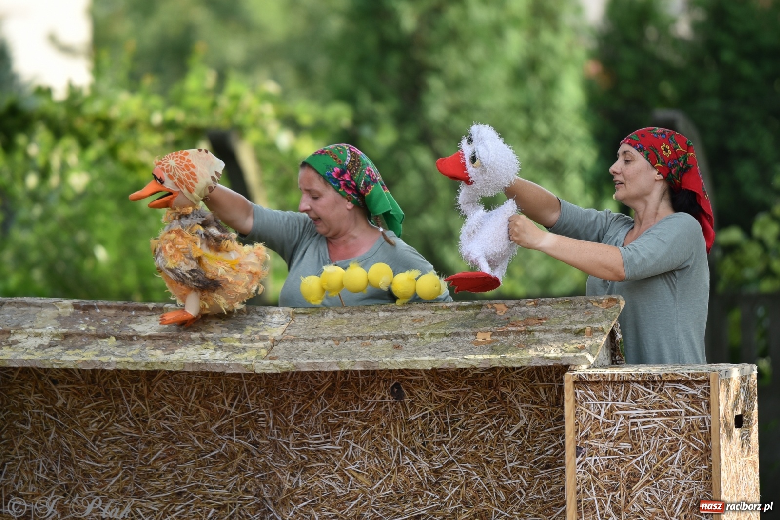 Zdjęcie w galerii na portalu naszraciborz.pl: Wakacyjna bajka w plenerze? Dlaczego nie! wiadomości z regionu
