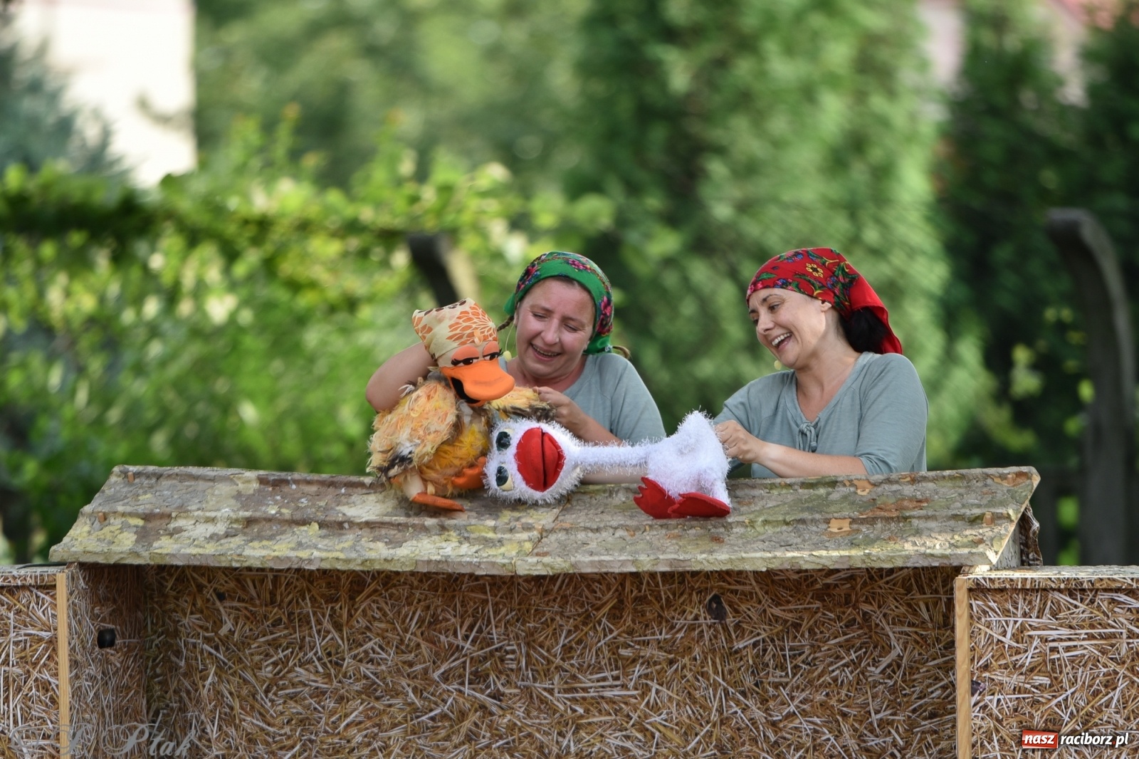 Zdjęcie w galerii na portalu naszraciborz.pl: Wakacyjna bajka w plenerze? Dlaczego nie! wiadomości z regionu