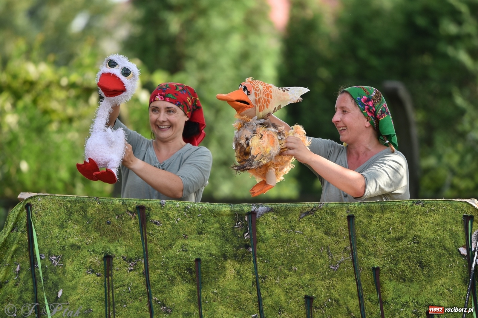 Zdjęcie w galerii na portalu naszraciborz.pl: Wakacyjna bajka w plenerze? Dlaczego nie! wiadomości z regionu