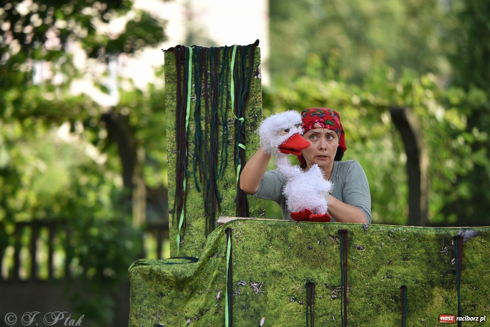 Zdjęcie w galerii na portalu naszraciborz.pl: Wakacyjna bajka w plenerze? Dlaczego nie! wiadomości z regionu