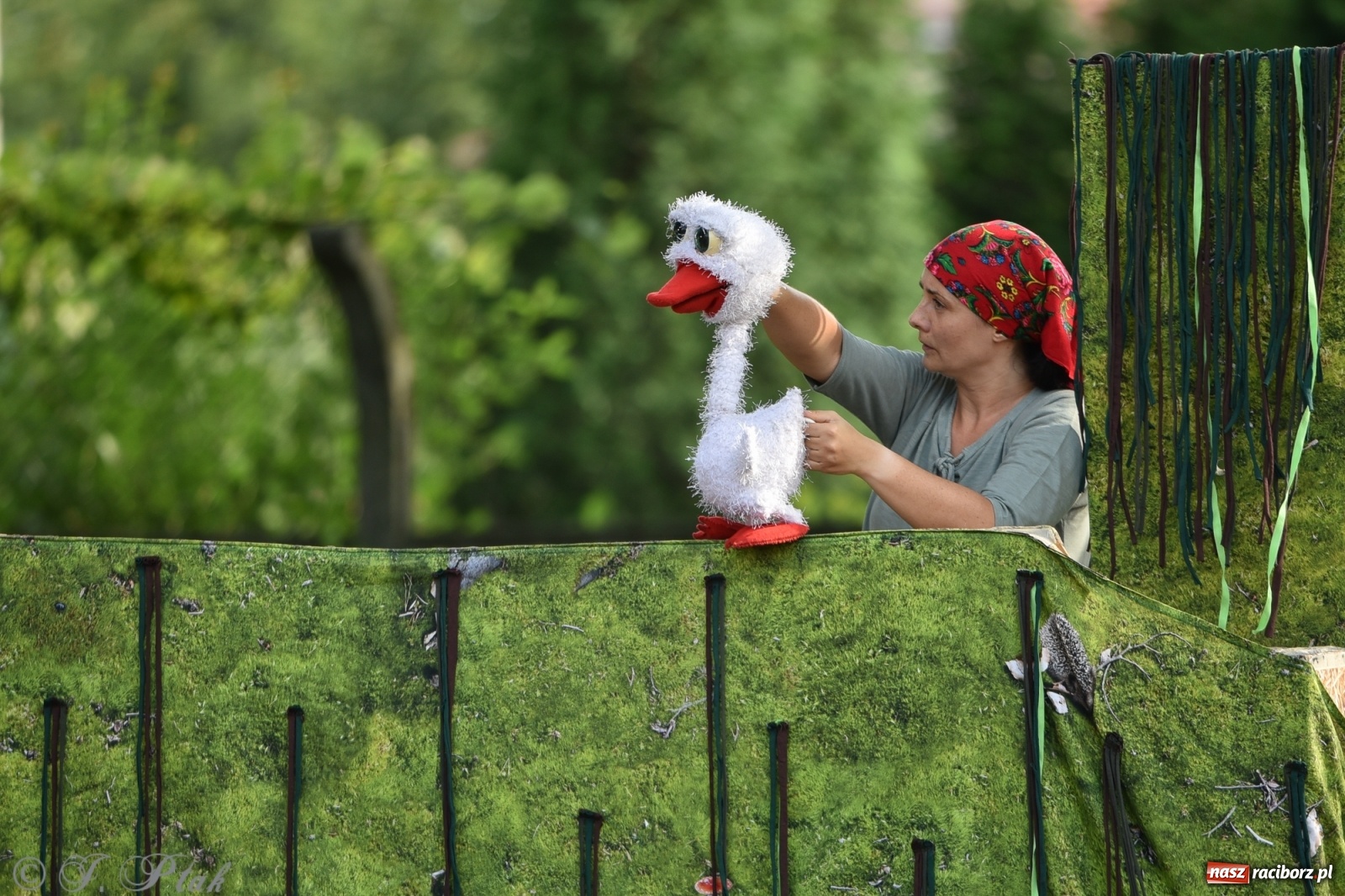 Zdjęcie w galerii na portalu naszraciborz.pl: Wakacyjna bajka w plenerze? Dlaczego nie! wiadomości z regionu