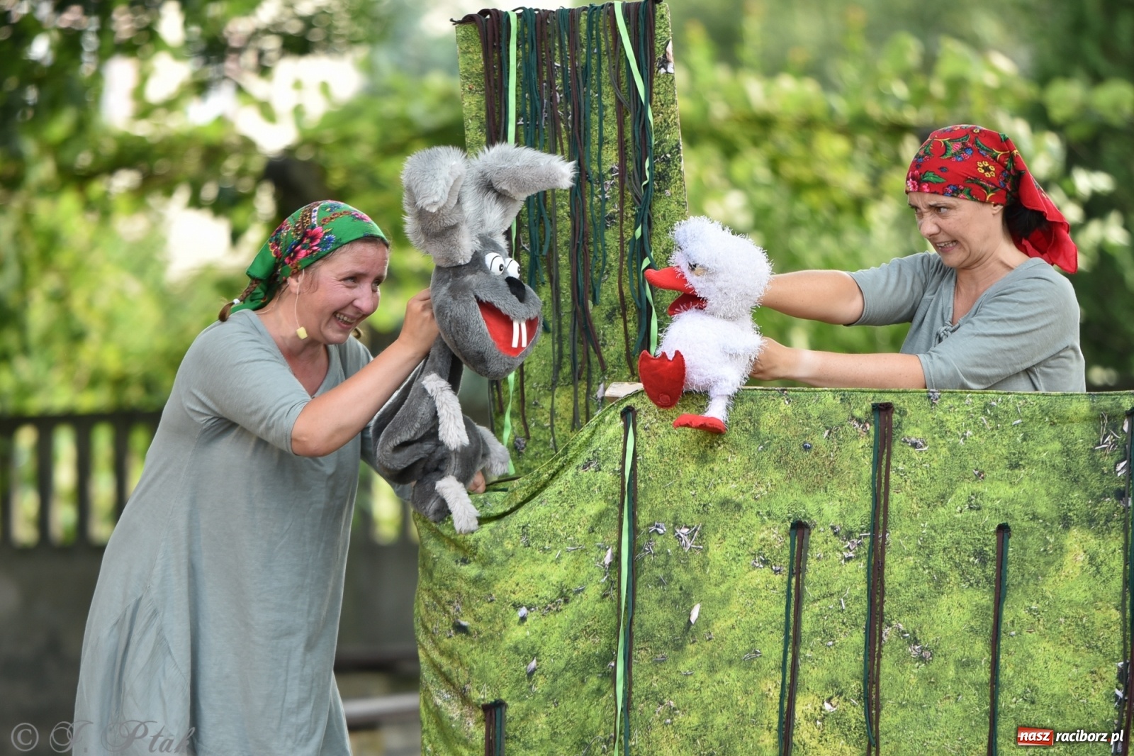 Zdjęcie w galerii na portalu naszraciborz.pl: Wakacyjna bajka w plenerze? Dlaczego nie! wiadomości z regionu
