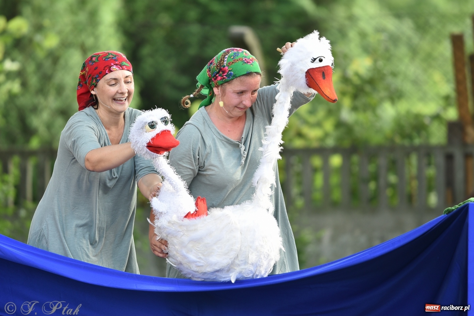 Zdjęcie w galerii na portalu naszraciborz.pl: Wakacyjna bajka w plenerze? Dlaczego nie! wiadomości z regionu