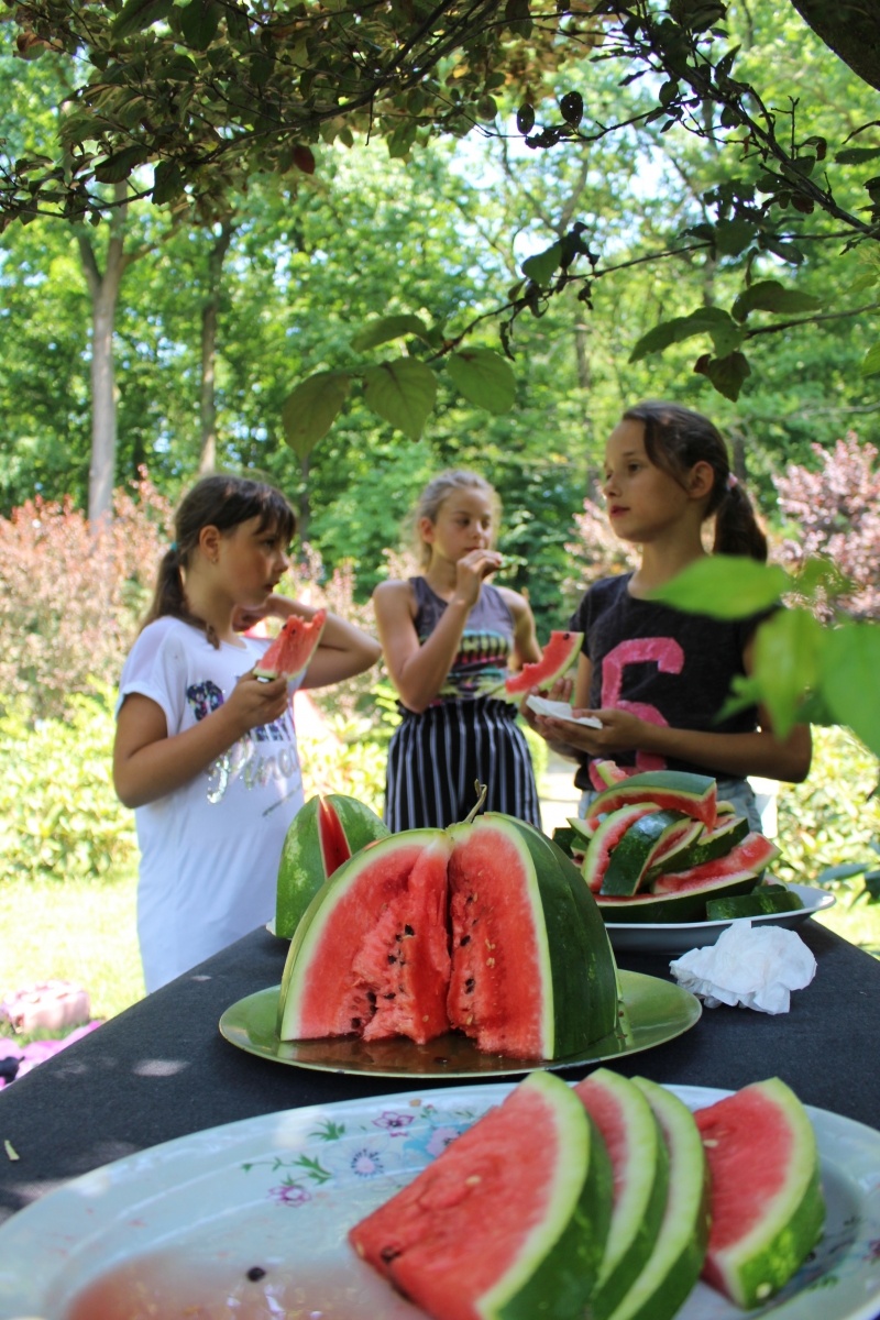 Zdjęcie w galerii na portalu naszraciborz.pl: Z Nędzy piszą do nas o Akcji Lato [FOTO] wiadomości z regionu