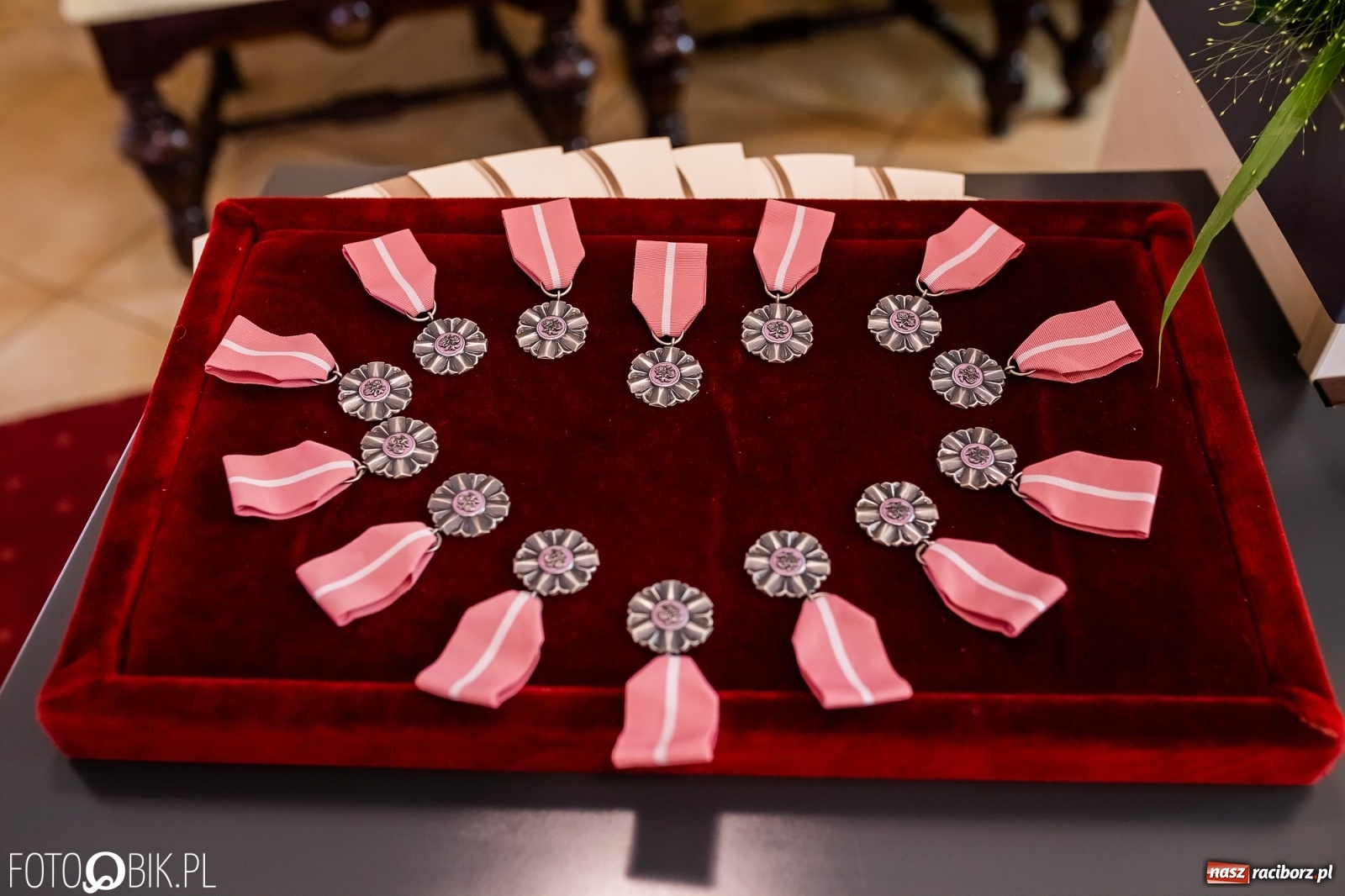 Zdjęcie w galerii na portalu naszraciborz.pl: Złote gody w raciborskim USC  wiadomości z regionu