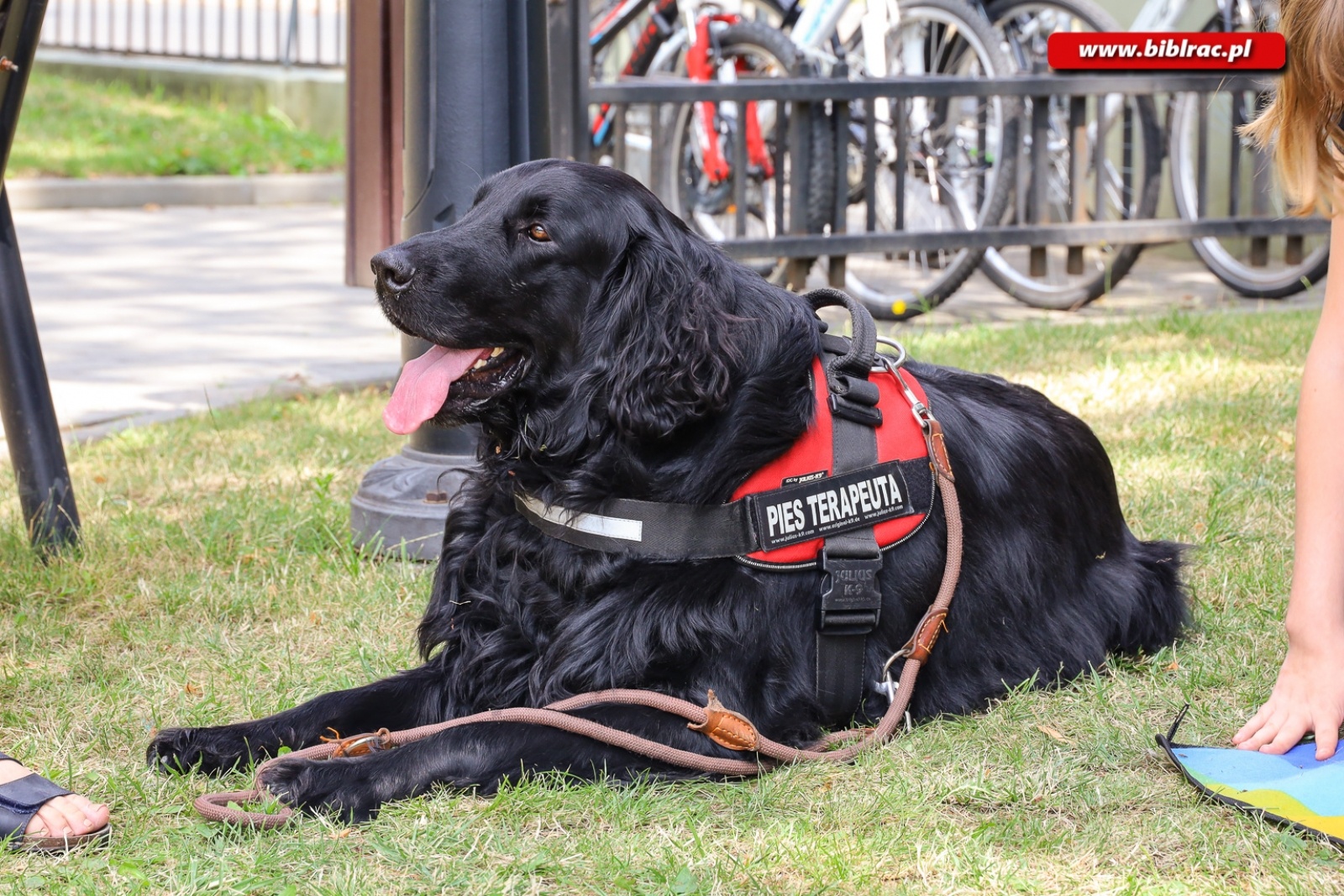 Zdjęcie w galerii na portalu naszraciborz.pl: Ruszyło Lato z biblioteką dla osób z niepełnosprawnościami wiadomości z regionu