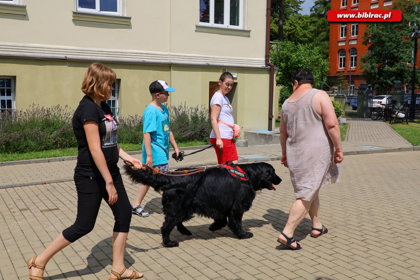 Zdjęcie w galerii na portalu naszraciborz.pl: Ruszyło Lato z biblioteką dla osób z niepełnosprawnościami wiadomości z regionu