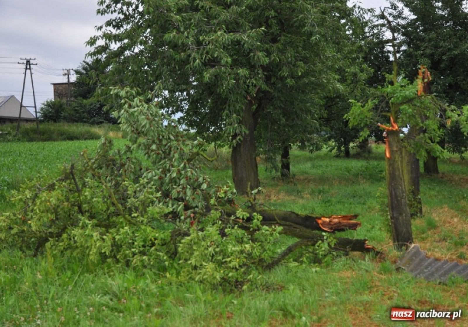 Zdjęcie w galerii na portalu naszraciborz.pl: Niebezpieczne zjawiska w Polsce i powiecie raciborskim. Co jest największym zagrożeniem? wiadomości z regionu