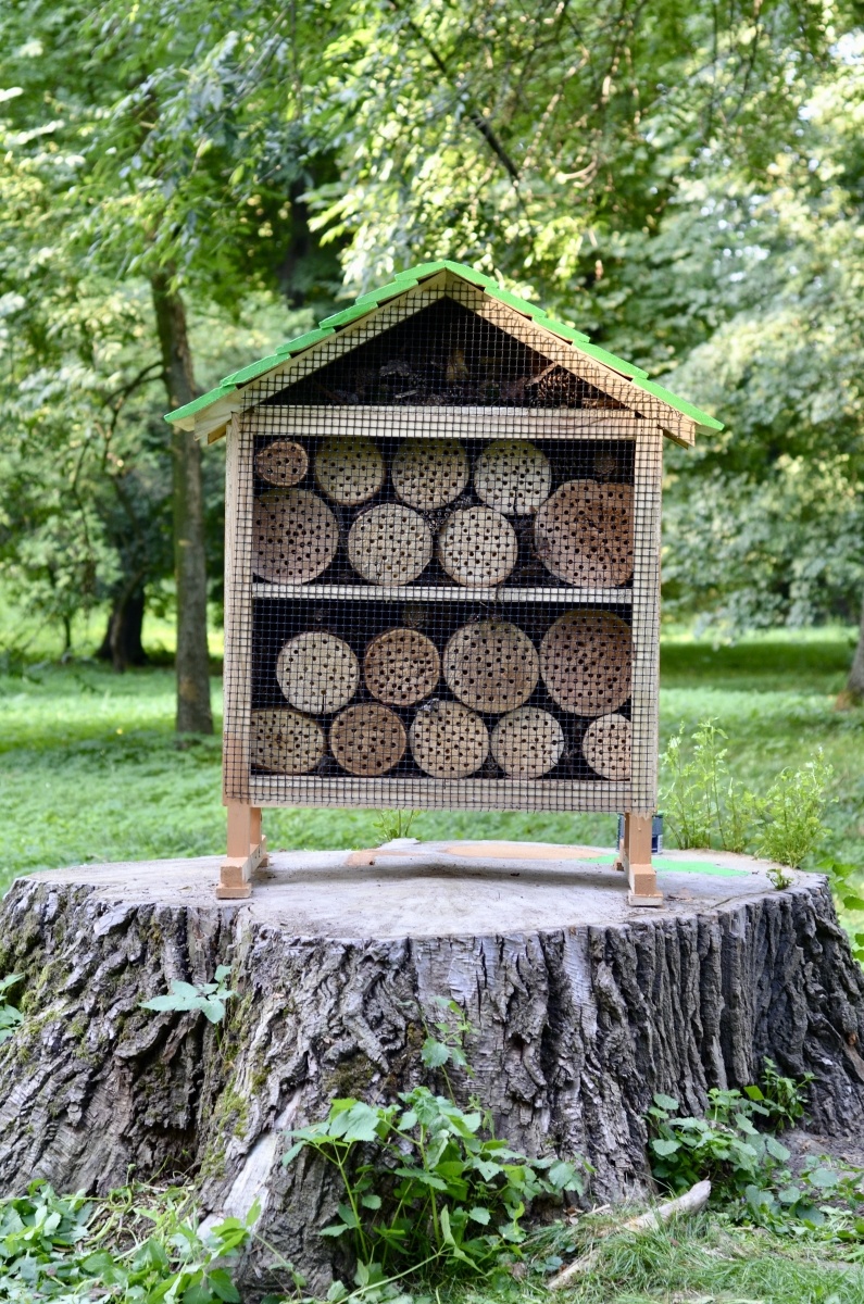 Zdjęcie w galerii na portalu naszraciborz.pl: Łąki kwietne w Raciborzu mają już hotele dla owadów wiadomości z regionu