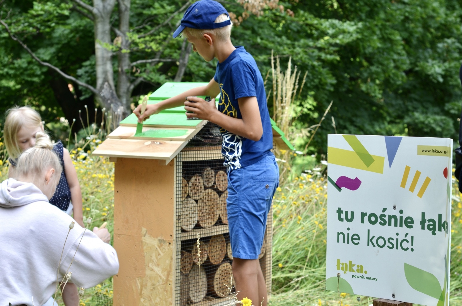 Zdjęcie w galerii na portalu naszraciborz.pl: Łąki kwietne w Raciborzu mają już hotele dla owadów wiadomości z regionu