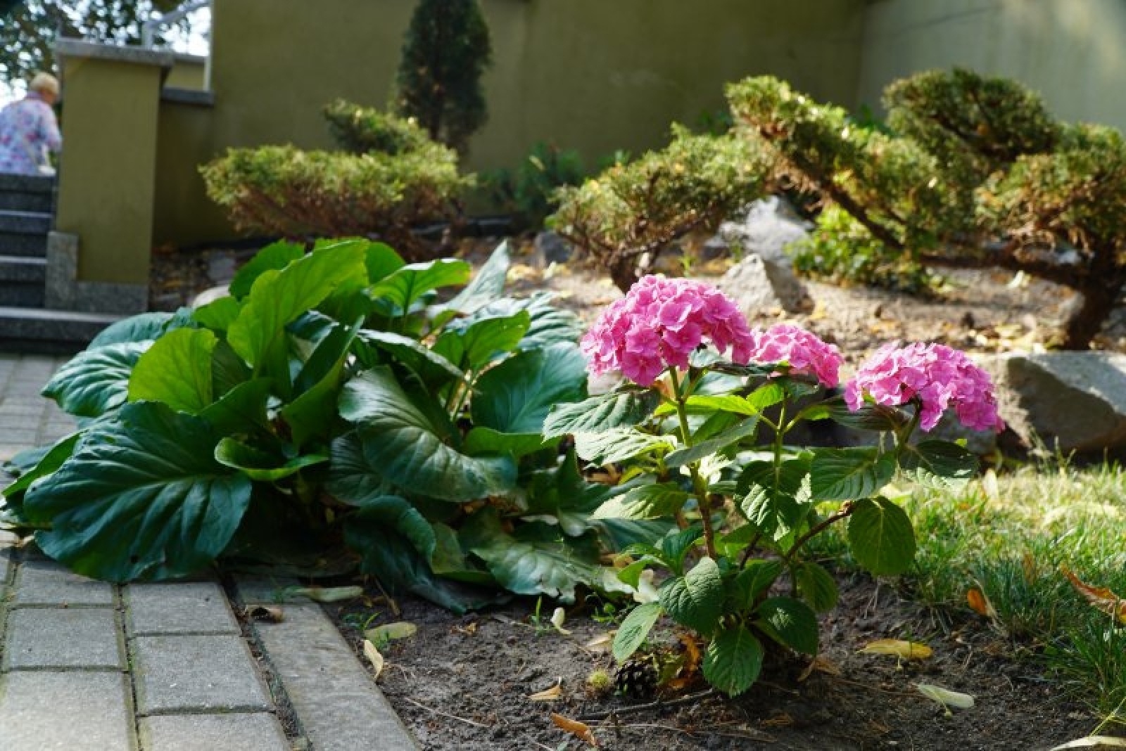 Zdjęcie w galerii na portalu naszraciborz.pl: Konkurs Zielono mi. Komisja już pracuje wiadomości z regionu