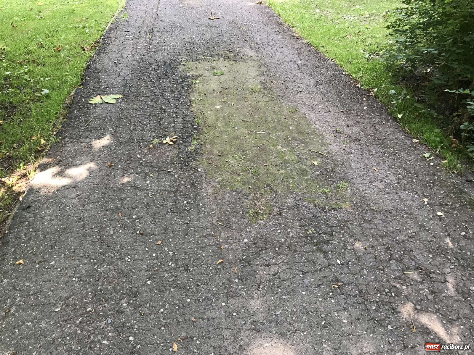 Zdjęcie w galerii na portalu naszraciborz.pl: Fuszerka czy brak kasy? Interwencja czytelnika wiadomości z regionu