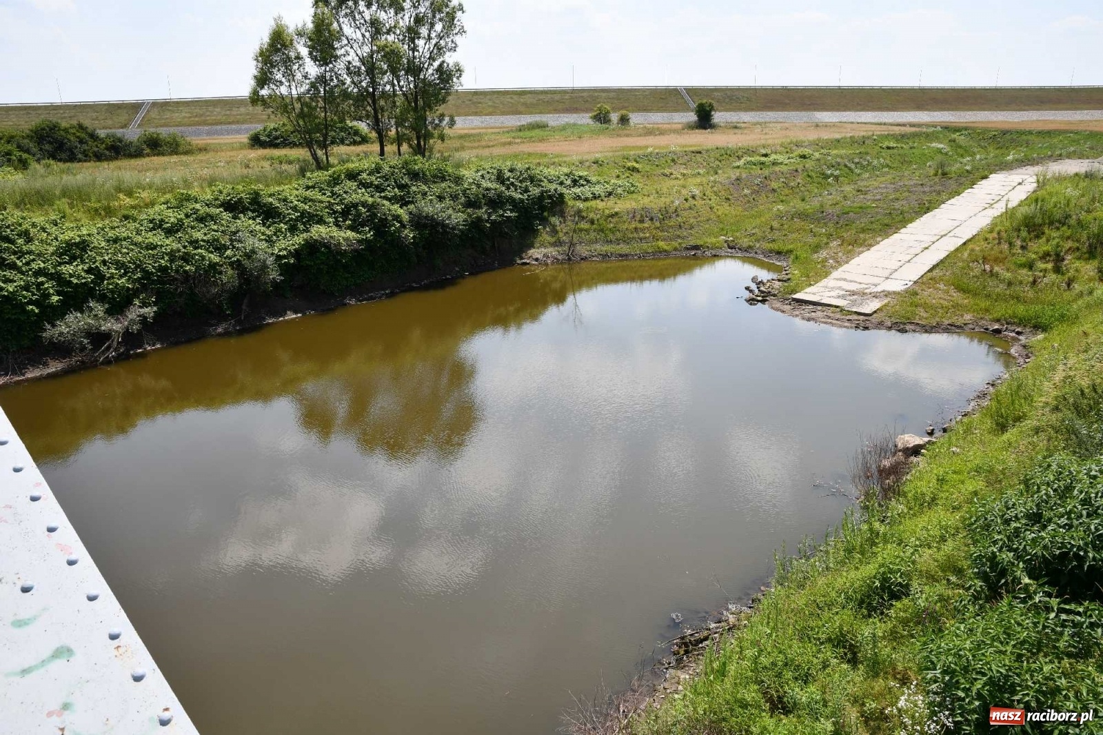 Zdjęcie w galerii na portalu naszraciborz.pl: Niski stan Odry. Takie widoki z zapory zbiornika Racibórz wiadomości z regionu