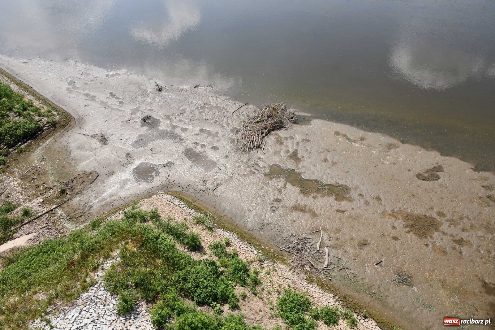 Zdjęcie w galerii na portalu naszraciborz.pl: Niski stan Odry. Takie widoki z zapory zbiornika Racibórz wiadomości z regionu