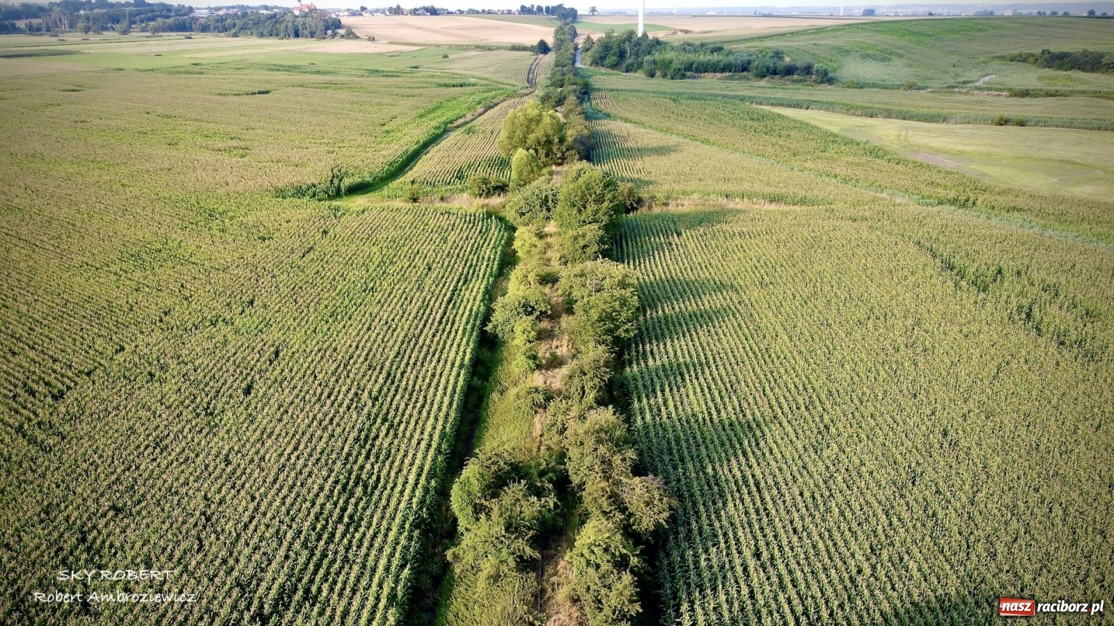 Zdjęcie w galerii na portalu naszraciborz.pl: Z Raciborza do Opawy. Magiczne zdjęcia lotnicze starej linii kolejowej wiadomości z regionu