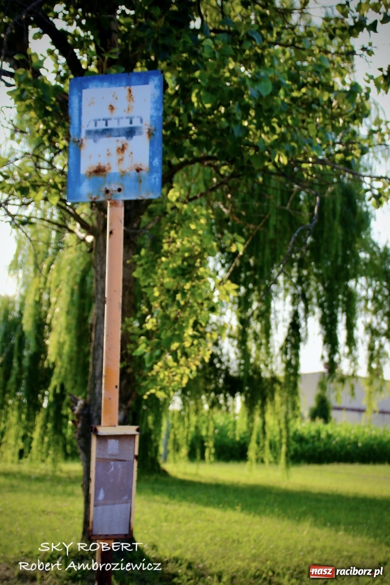 Zdjęcie w galerii na portalu naszraciborz.pl: Z Raciborza do Opawy. Magiczne zdjęcia lotnicze starej linii kolejowej wiadomości z regionu