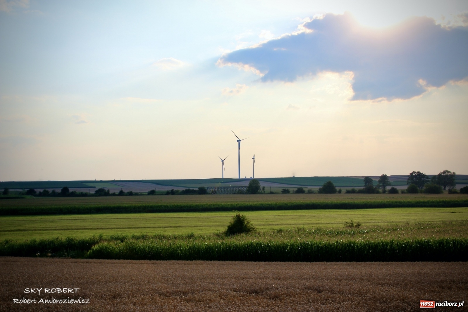Zdjęcie w galerii na portalu naszraciborz.pl: Z Raciborza do Opawy. Magiczne zdjęcia lotnicze starej linii kolejowej wiadomości z regionu